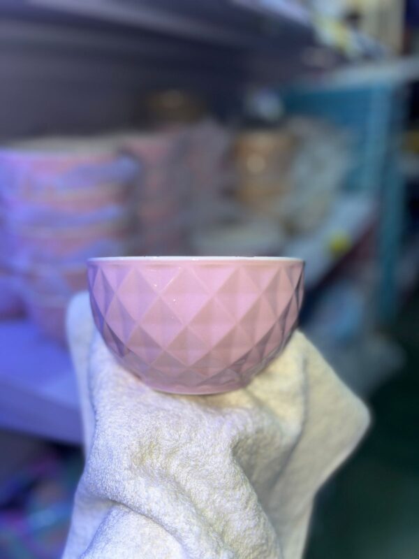 BOWL COLORES(DISPONIBLE SOLO EN COLOR ROSADO)