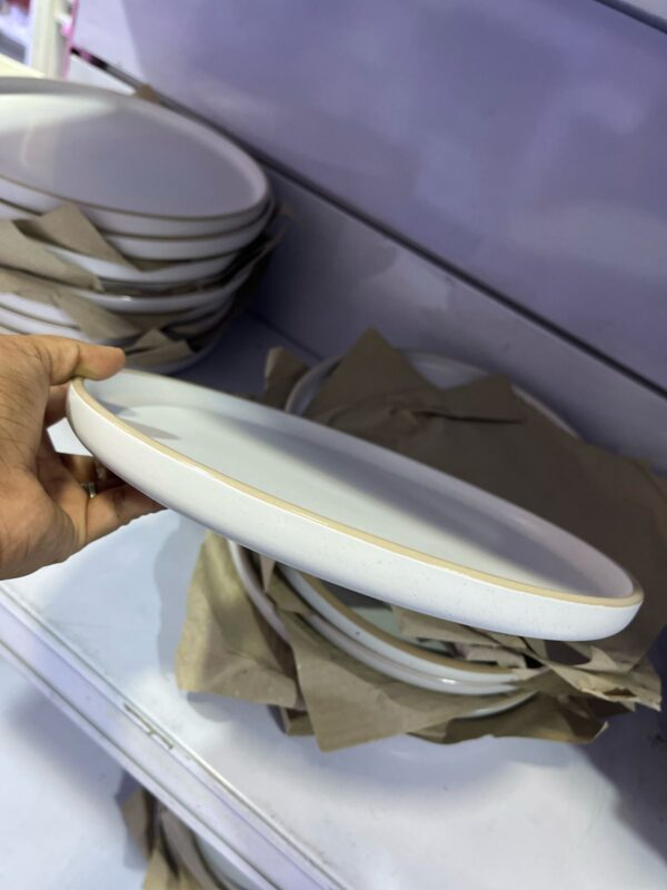 PLATO PARRILLERO (MEDIDA 26CM) - Imagen 7