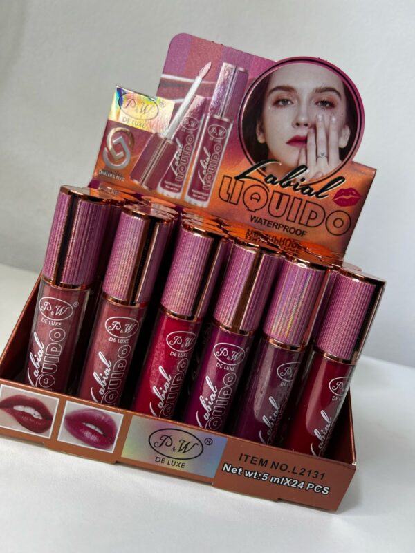 LABIAL LIQUIDO SURTIDO(labial y color se eligen en llamada)