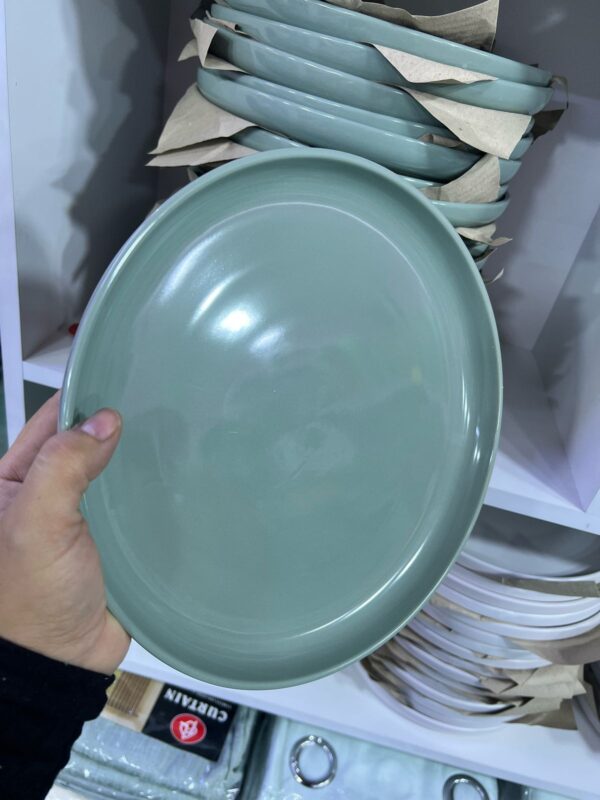 PLATO PARRILLERO (CODIGO Y COLOR SE ELIGE EN LLAMADA ) - Imagen 7