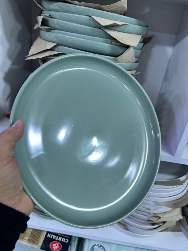 PLATO PARRILLERO (CODIGO Y COLOR SE ELIGE EN LLAMADA ) - Imagen 8