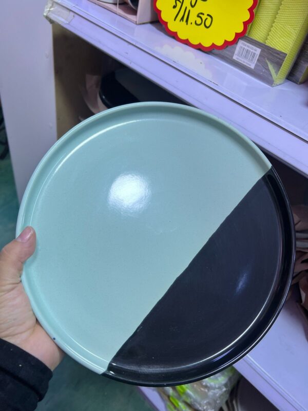 PLATO PARRILLERO (CODIGO Y COLOR SE ELIGE EN LLAMADA ) - Imagen 11