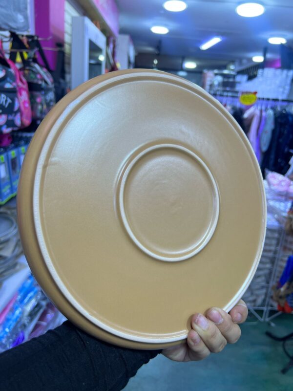 PLATO PARRILLERO (CODIGO Y COLOR SE ELIGE EN LLAMADA ) - Imagen 2