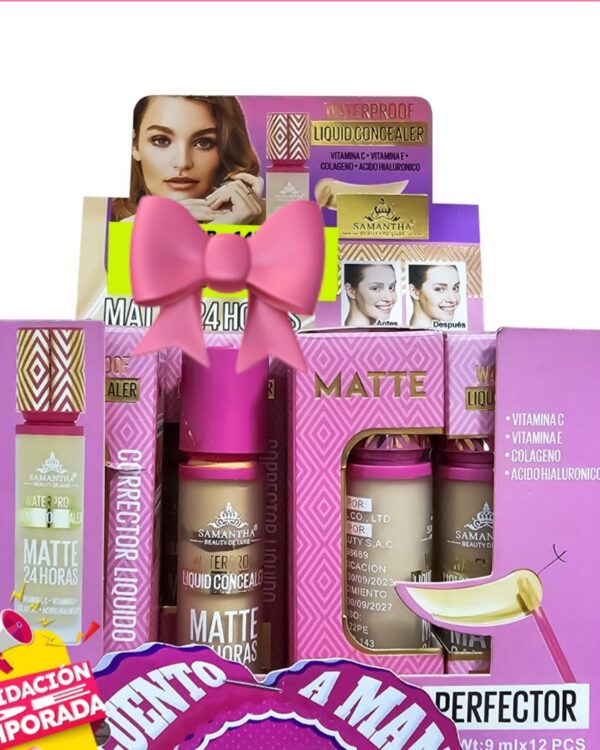 CORRECTOR LIQUIDO