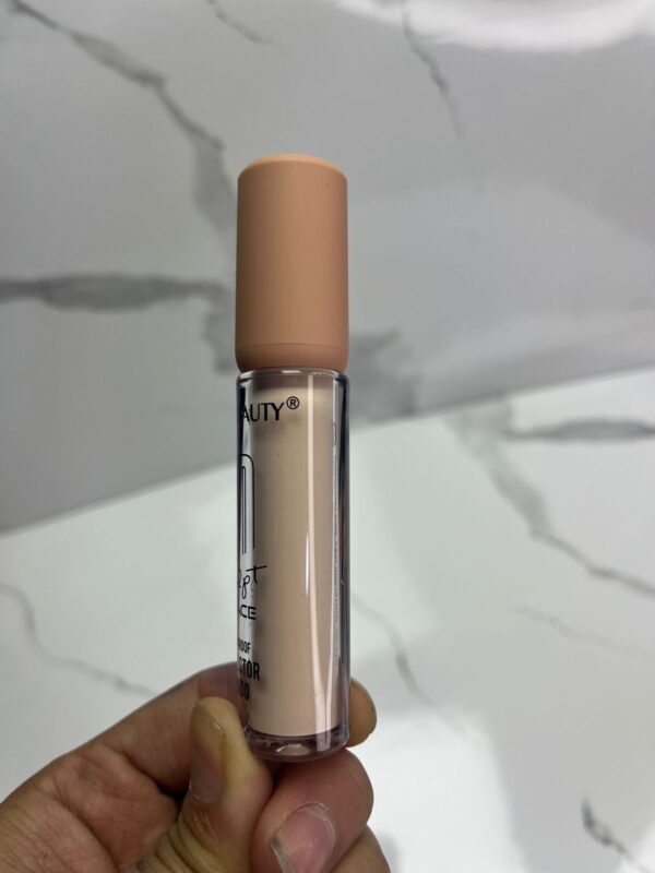 CORRECTOR EVER - Imagen 2