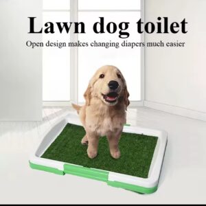 URINARIO PARA MASCOTA